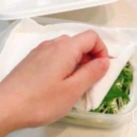 長持ち 水菜の冷蔵 冷凍保存方法 レシピ 作り方 By 新米幸せママ 楽天レシピ 長持ち 水菜の冷蔵 冷凍保存方法 レシピ 作り方 By 新米幸せママ 楽天レシピ